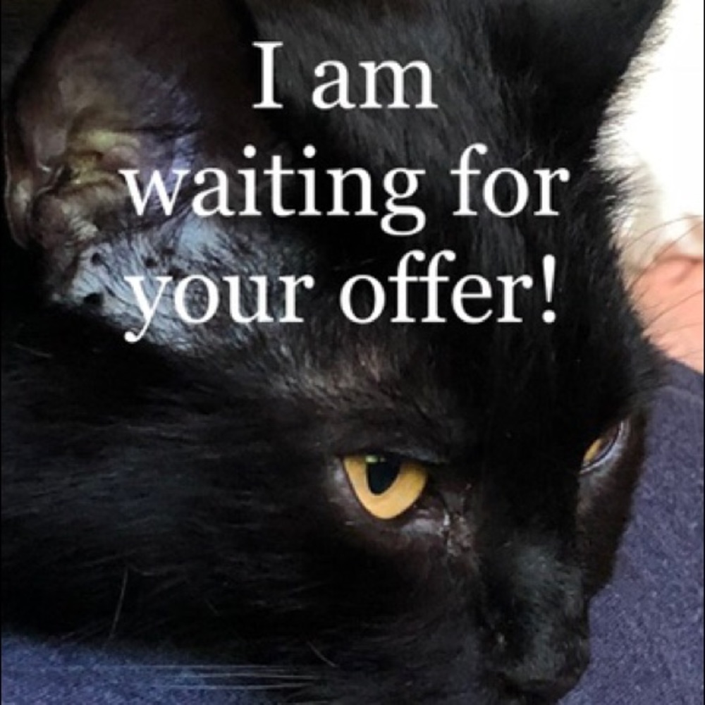 Make me an offer!